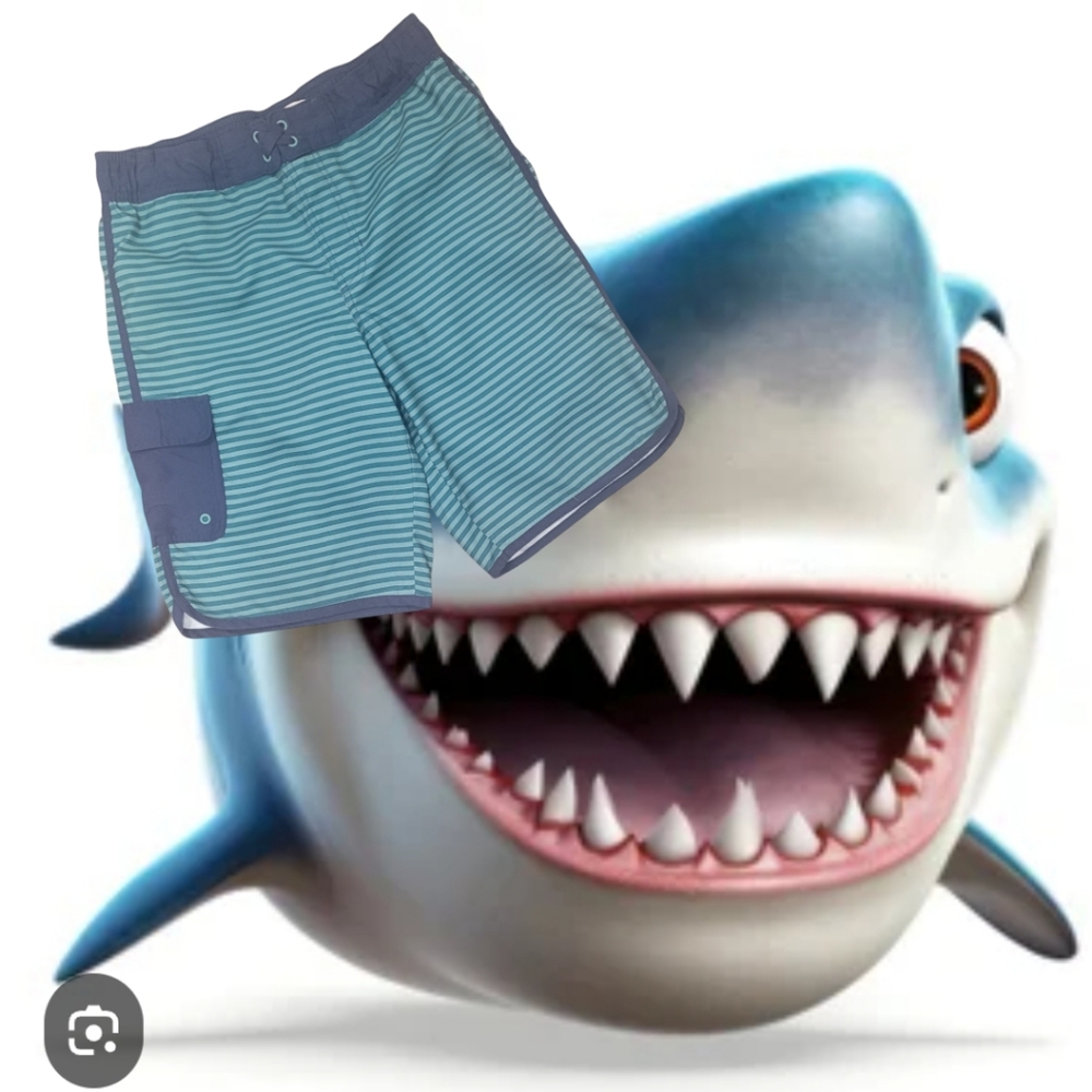 Cat & Jack Boy's Husky Stripe Board Shorts Swimtrunks